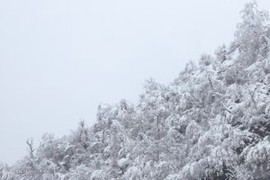 بارش نزولات جوی و وزش باد در مازندران از امروز شدت میابد