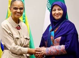 تناقض عجیب در هزینه سفر رئیس سازمان محیطزیست به برزیل/ واکنش شینا انصاری