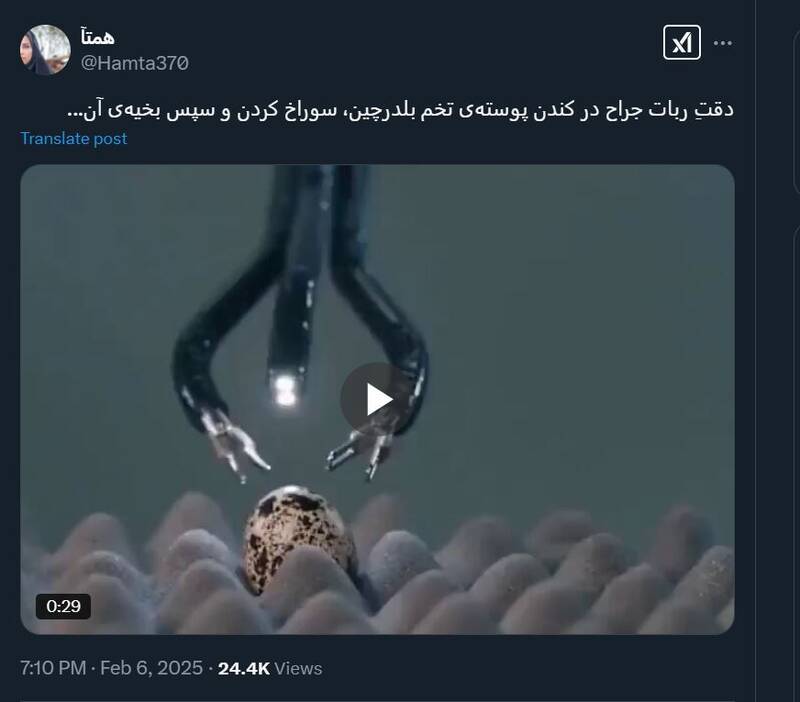 دقت ربات جراح در کندن پوسته‌ تخم بلدرچین!