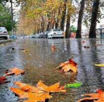 بارش اولین باران پاییزی در مازندران