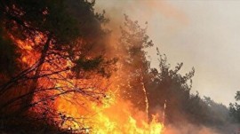 بازدید میدانی دادستان مرکز استان مازندران از محل آتشسوزی جنگلهای الیت/ تحقیقات برای روشن شدن علت آتشسوزی ادامه دارد