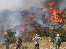 ردپای انسان در آتشسوزی جنگلها محرز شد / شکارچیان غیرمجاز الیت را آتش زدند