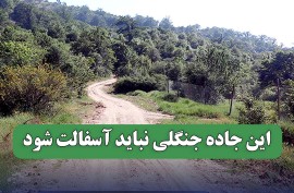 افزایش فشارها برای آسفالت جادهای در «منطقه حفاظت شده آبشار » در سوادکوه / محیط زیست مازندران: در دست بررسی است !