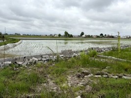 دیوارکشی و فنسکشی اراضی زراعی و باغی پس از اخذ مجوز، آزاد شد